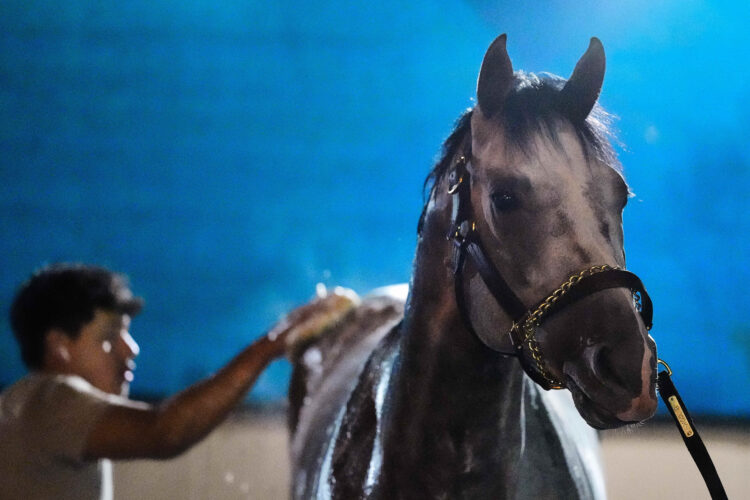 Fulleffort scratched from the Kentucky Derby, putting Ocelli into the race